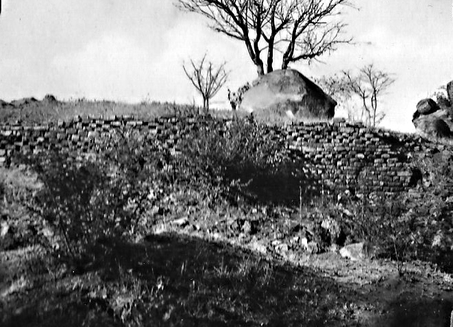 nb_1930s_khami_ruins_tree