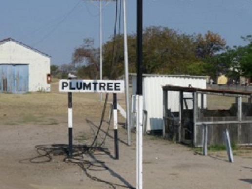 nb_rs_plumtree_railway_station_shed_sign