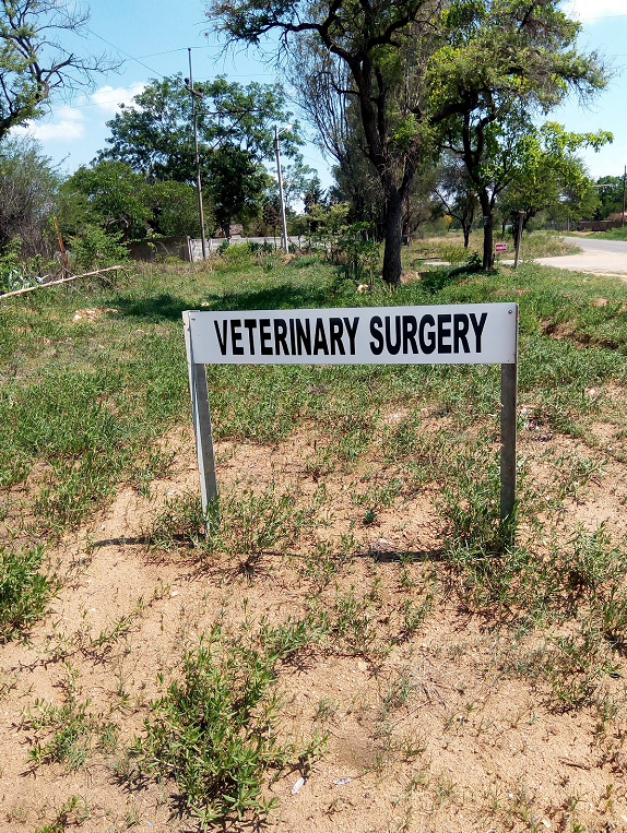 sv_sub_veteinary_surgery