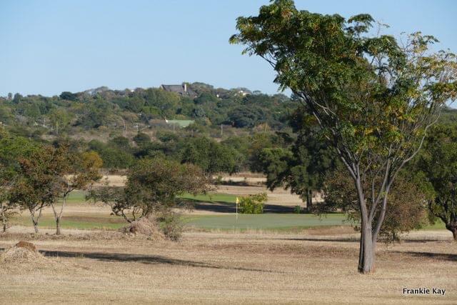 cl_golf_bcc_course_dry_tree