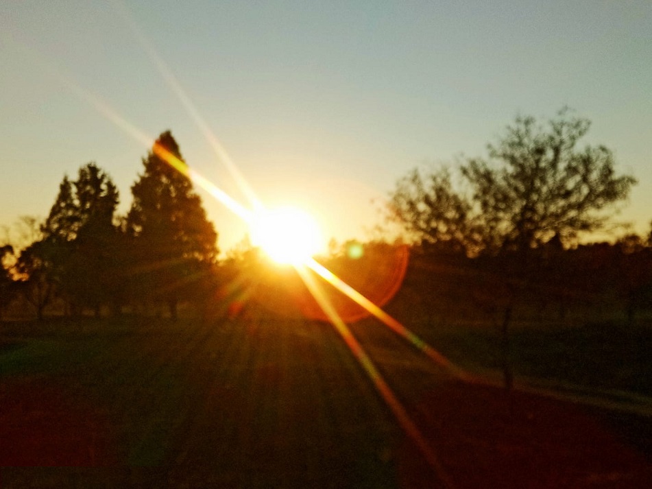cl_golf_bcc_18_sunrise