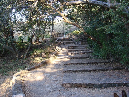 dam_hill_steps.JPG