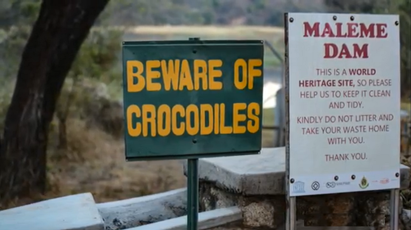 dam_mal_beware_crocs